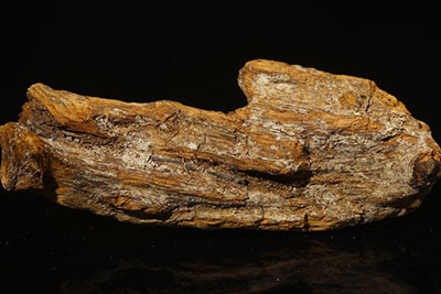 富森红土沉水(材料) ，10.8g